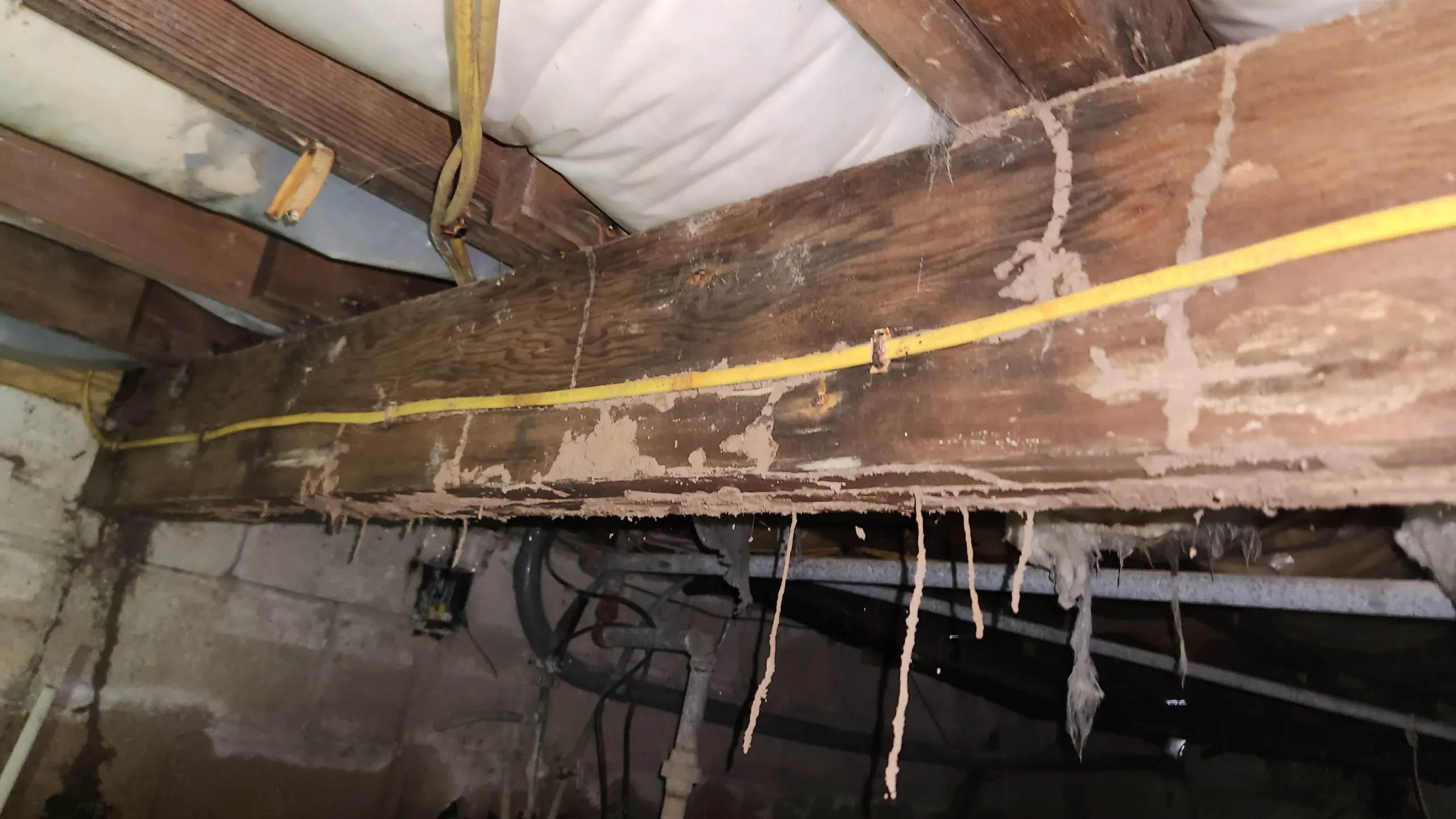 Termite Inspection Damage toms river NJ