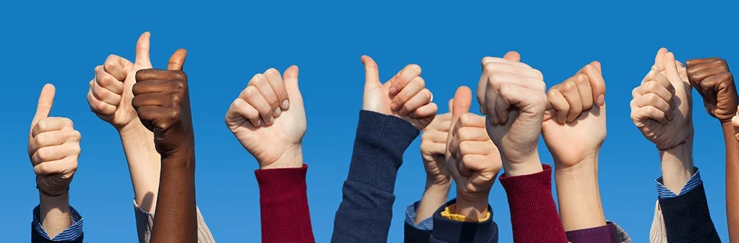 reviews and testimonials